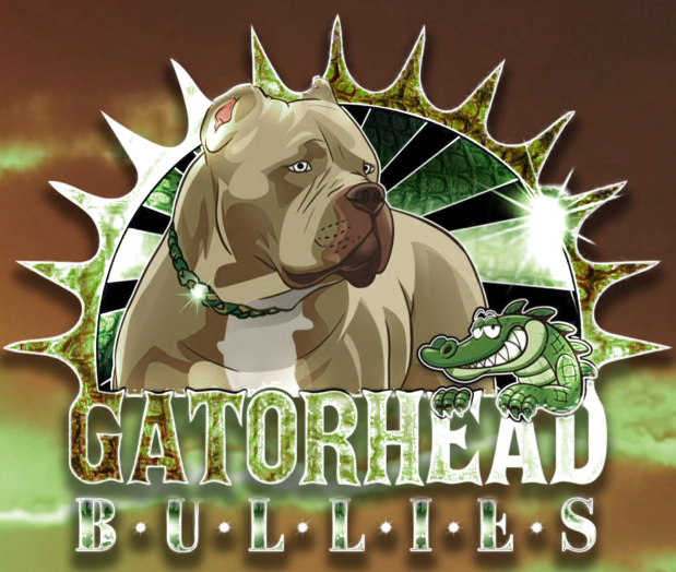 gator head bullies