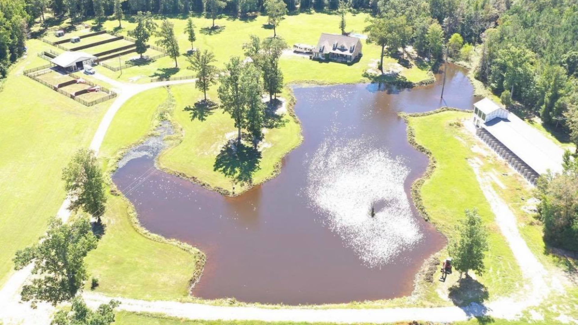 GHB XL America Bully puppy facilities in Mississippi - Gatorhead Bullies home and kennel